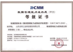 DCMM數(shù)據(jù)管理能力成熟度（14）