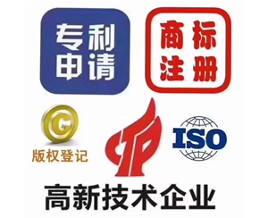 高新技術企業(yè)