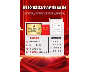 科技型中小企業(yè)申報