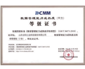 DCMM數(shù)據(jù)管理能力成熟度（14）